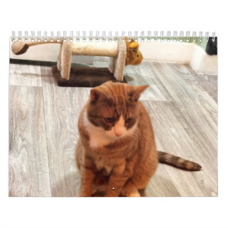 För Kärlek av katter Kalender