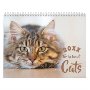 För Kärlek i Anpassningsbarna Cats Fotokalender Kalender