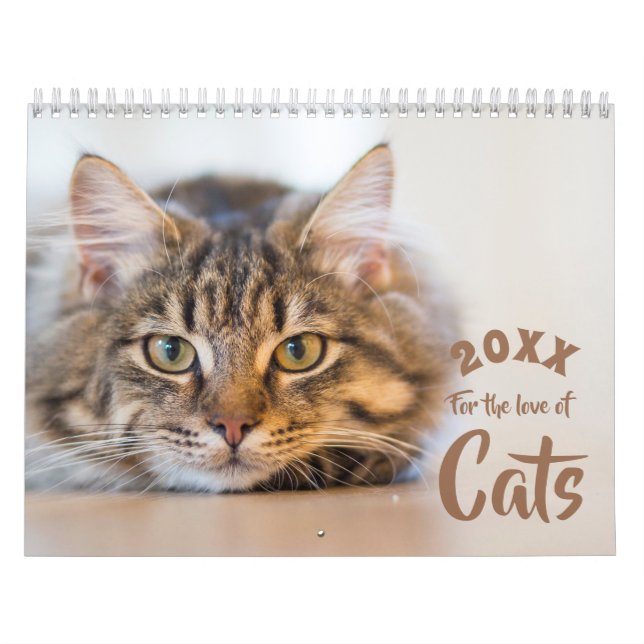 För Kärlek i Anpassningsbarna Cats Fotokalender Kalender (Omslag)