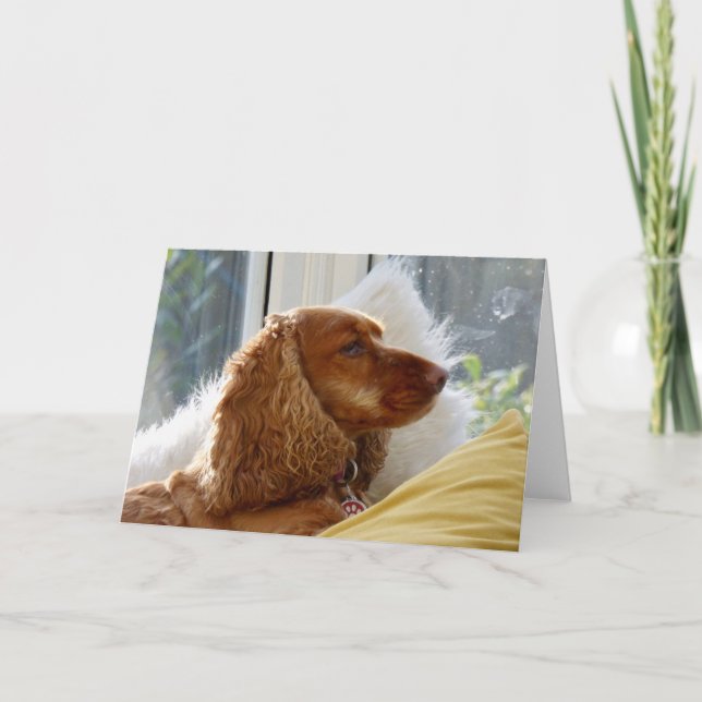 För kärlek i hundar kort (Framsida)