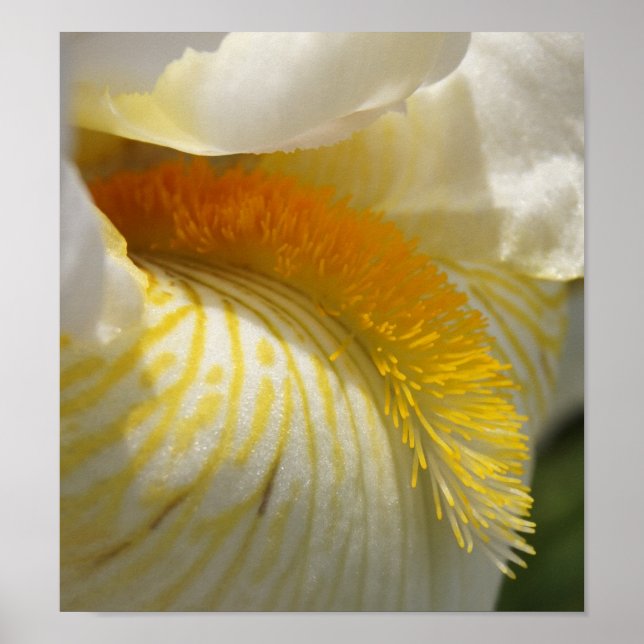 För Kärlek i Iris Poster (Framsidan)