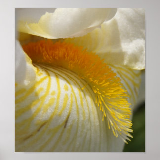 För Kärlek i Iris Poster