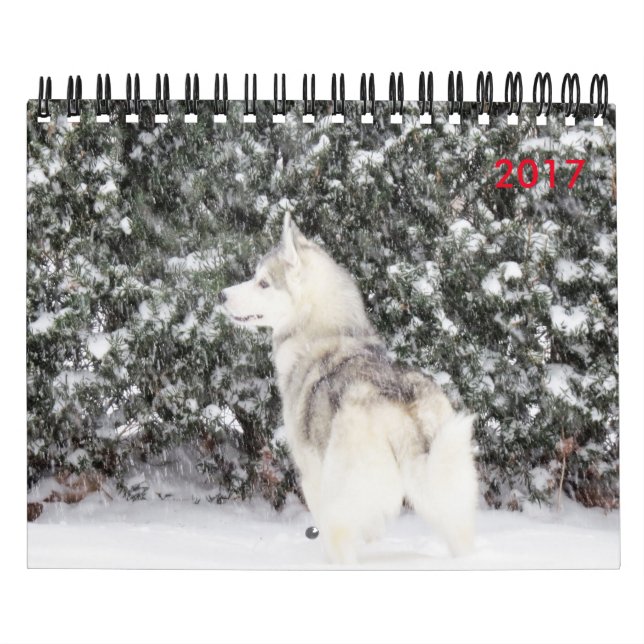 För kärleken av hundar kalender (Omslag)