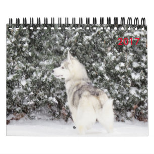 För kärleken av hundar kalender