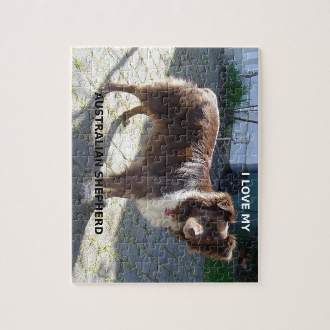 för kärlekw för australian shepherd röd tri pic pussel (Vertikal)