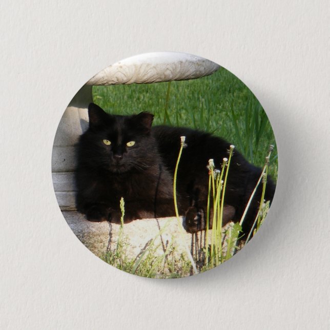 ~ för katt 120 knäppas knapp (Framsida)