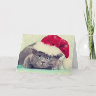 För kattSpinnande-fect för blått brittisk julhelg Helgkort
