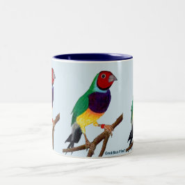 ~ för konst för ~ för ~-Gouldian Finch original- Två-Tonad Mugg