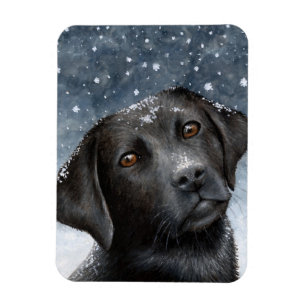 För Labrador för hund 100 svart magnet foto