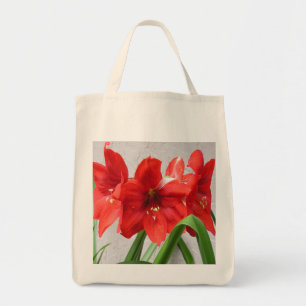 För lejonAmaryllis för herr Jons 4 hänger lös Tygkasse