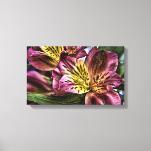 För liljablomma för Alstroemeria peruansk Canvastryck