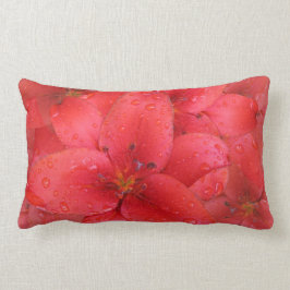 För liljaträdgård för blomma röda Raindrops för Lumbarkudde