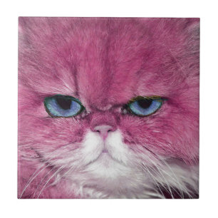 FÖR LOOKKATT FÖR ROSA KATT VÅLDSAMMA ÖGON, ROL KAKELPLATTA