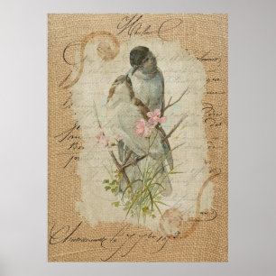 För love birdskärlek för Victorian fransk sång Poster