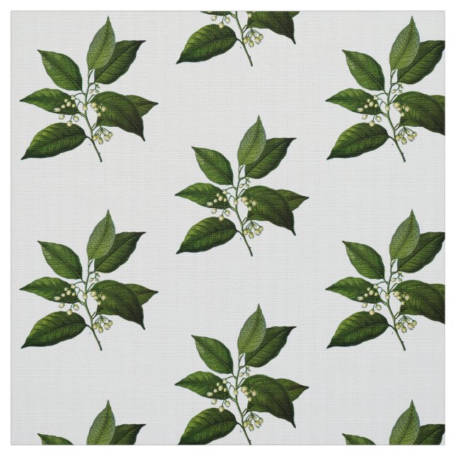 För lövverktryck för vintage botaniskt tyg (Provkarta)