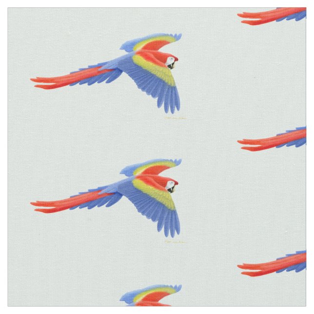 För Macawpapegoja för flyg scharlakansrött tyg (Närbild)