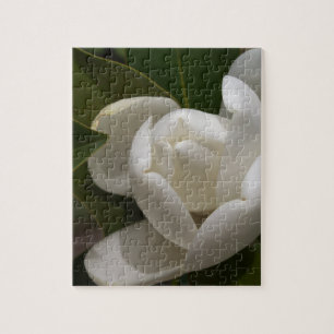 för magnoliablomma för vit sydlig knopp pussel