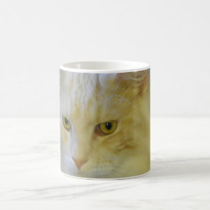 För Maine för muggkaffehusdjur katt Bentley Coon Kaffemugg