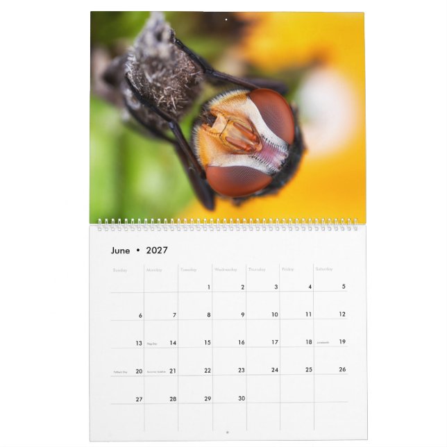 För makrofotografi för 2019 kryp synad skönhetar kalender (Jun 2027)