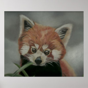 För målningkonstverk för röd Panda pastellfär Poster