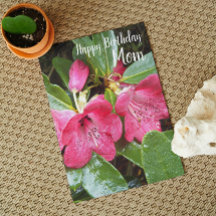 För Mamma Red Rhododendrons Blommigt Birthday