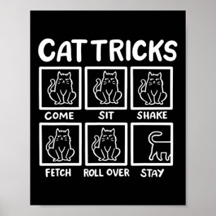 För manar för Cat Tricks, Lover Lover Poster