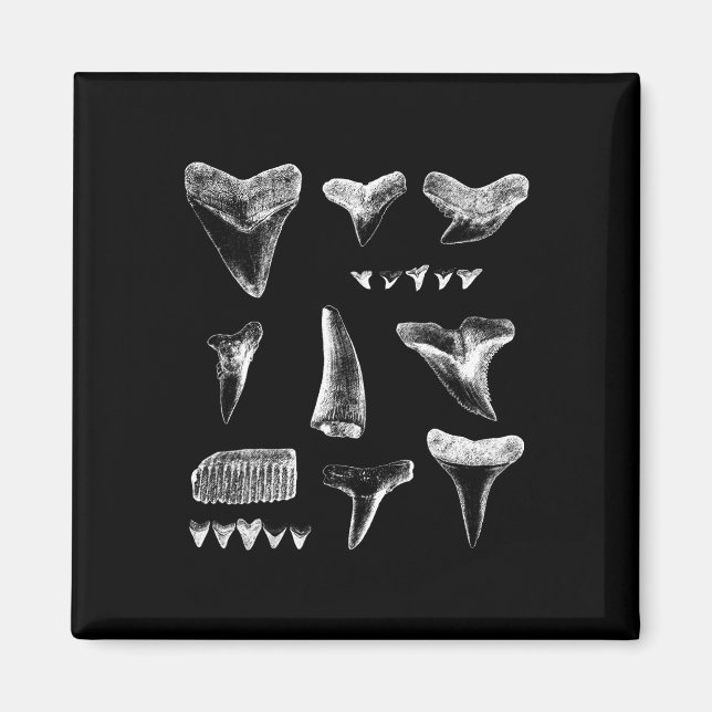 För manar Kvinnor i Shark Teeth Magnet (Framsidan)