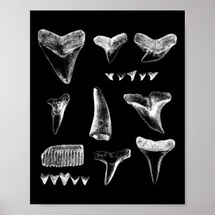 För manar Kvinnor i Shark Teeth Poster