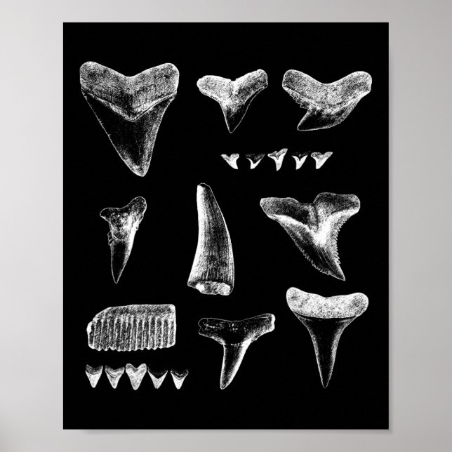 För manar Kvinnor i Shark Teeth Poster (Framsidan)
