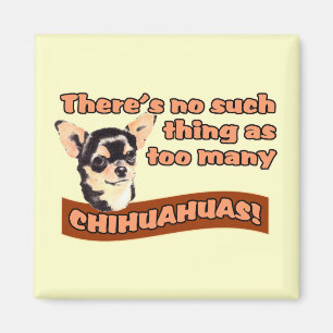 "För många Chihuahuas ", Magnet