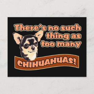 "För många Chihuahuas" Vykort
