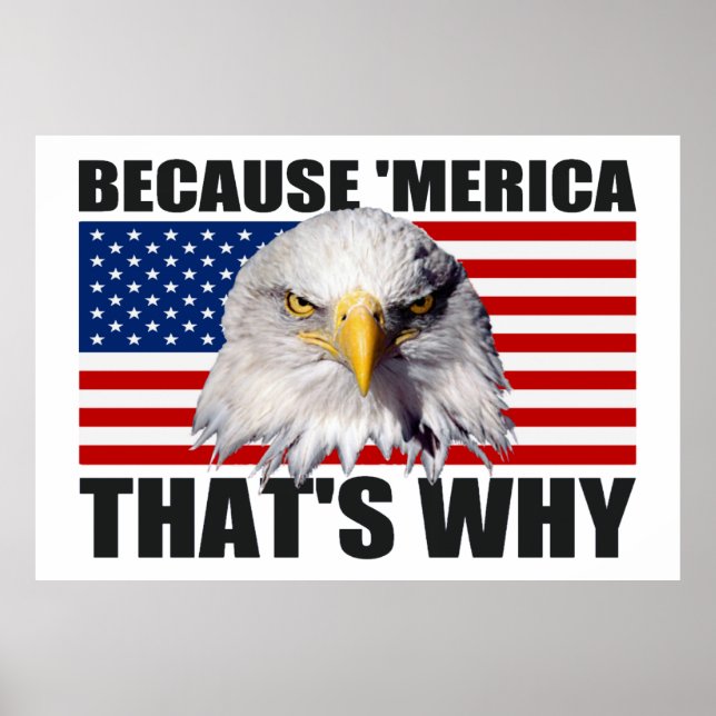 FÖR "MERIKA SOM ÄR VARFÖR US Flagga Poster (stor) (Framsidan)