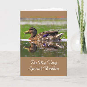 För min broder Mallard Birthday Kort