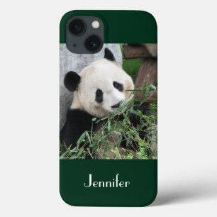 för mini- bakgrund för grönt för Panda