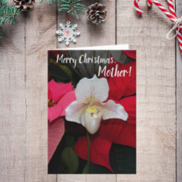 För Mor Red Poinsettias och Orchid jul Kort