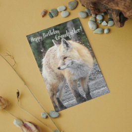 För morfar Red Fox Photo Birthday Kort