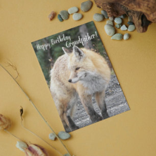 För morfar Red Fox Photo Birthday Kort