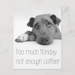 För mycket måndag, för lite kaffe - Sömnig Hund Vykort