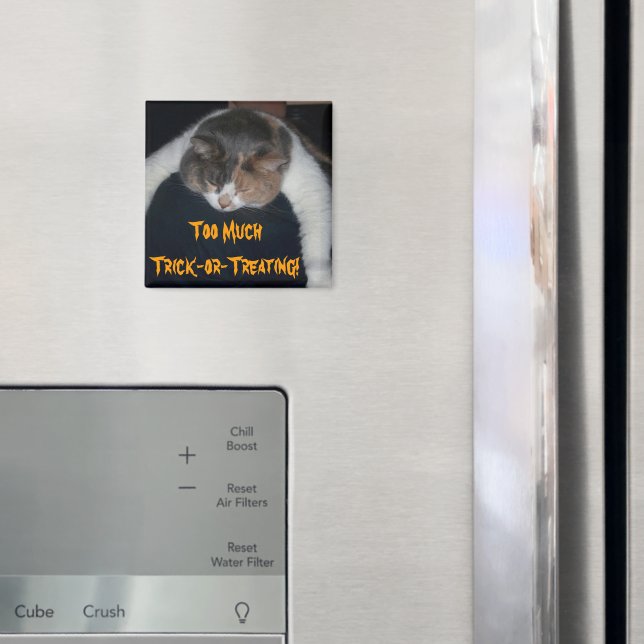 För mycket tricksande! magnet (In Situ (Fridge))