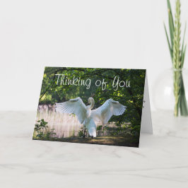 För någon som är Terminal Card Kort