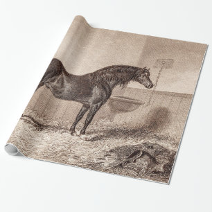 För Norfolk för vintage1800shäst Retro vagnshä Presentpapper