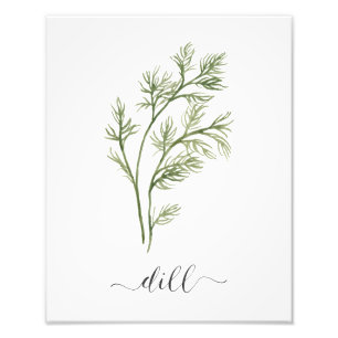 För örttryck för vattenfärg botanisk Dill Fototryck