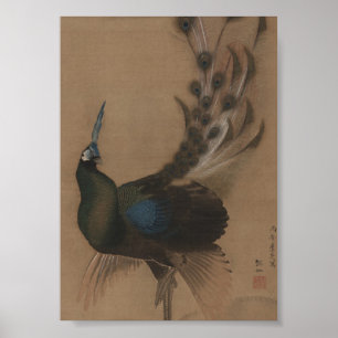 För påfågelkonst för vintage asiatiskt tryck