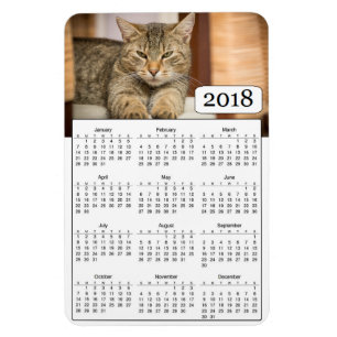 För personligkatt för 2018 kalender magnet för