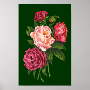 För pionträdgård för vintage rosa rosa blomma poster