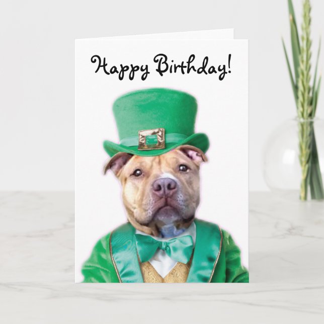För Pitbull för grattis på födelsedagen irländskt Kort (Framsida)