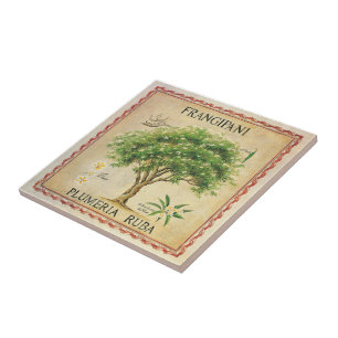 För Plumeriaträd för vintage botanisk art déco Kakelplatta
