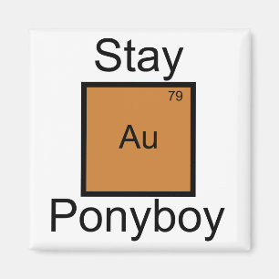 För Ponyboy för stag guld- vits inslag Magnet