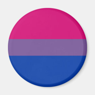 För prideregnbåge för bisexuell person LGBT fla Magnet