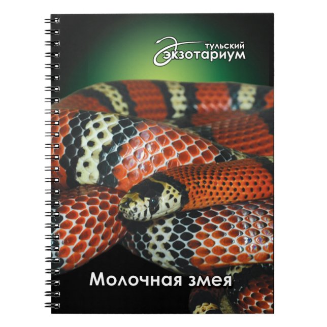 För reptilälskare mjölkormon anteckningsbok (Framsidan)